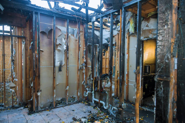 Professional Odor Removal technician working in Montrose, PA