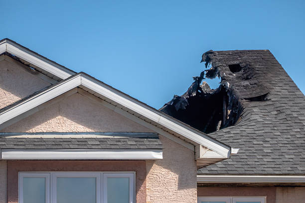 Top rated local Odor Removal specialists in Montrose, PA